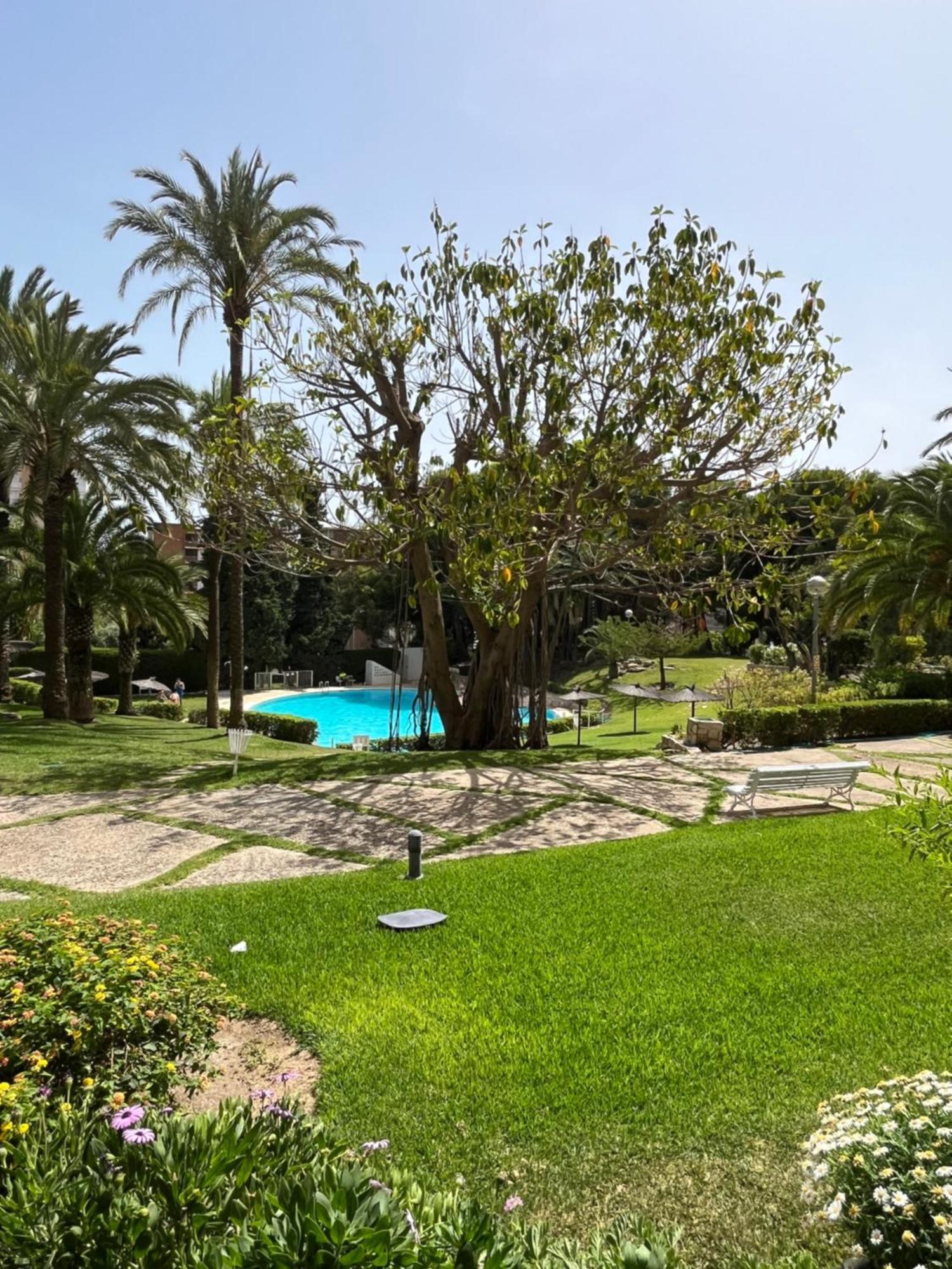 Appartement Parque La Chicharra Near And Alicante